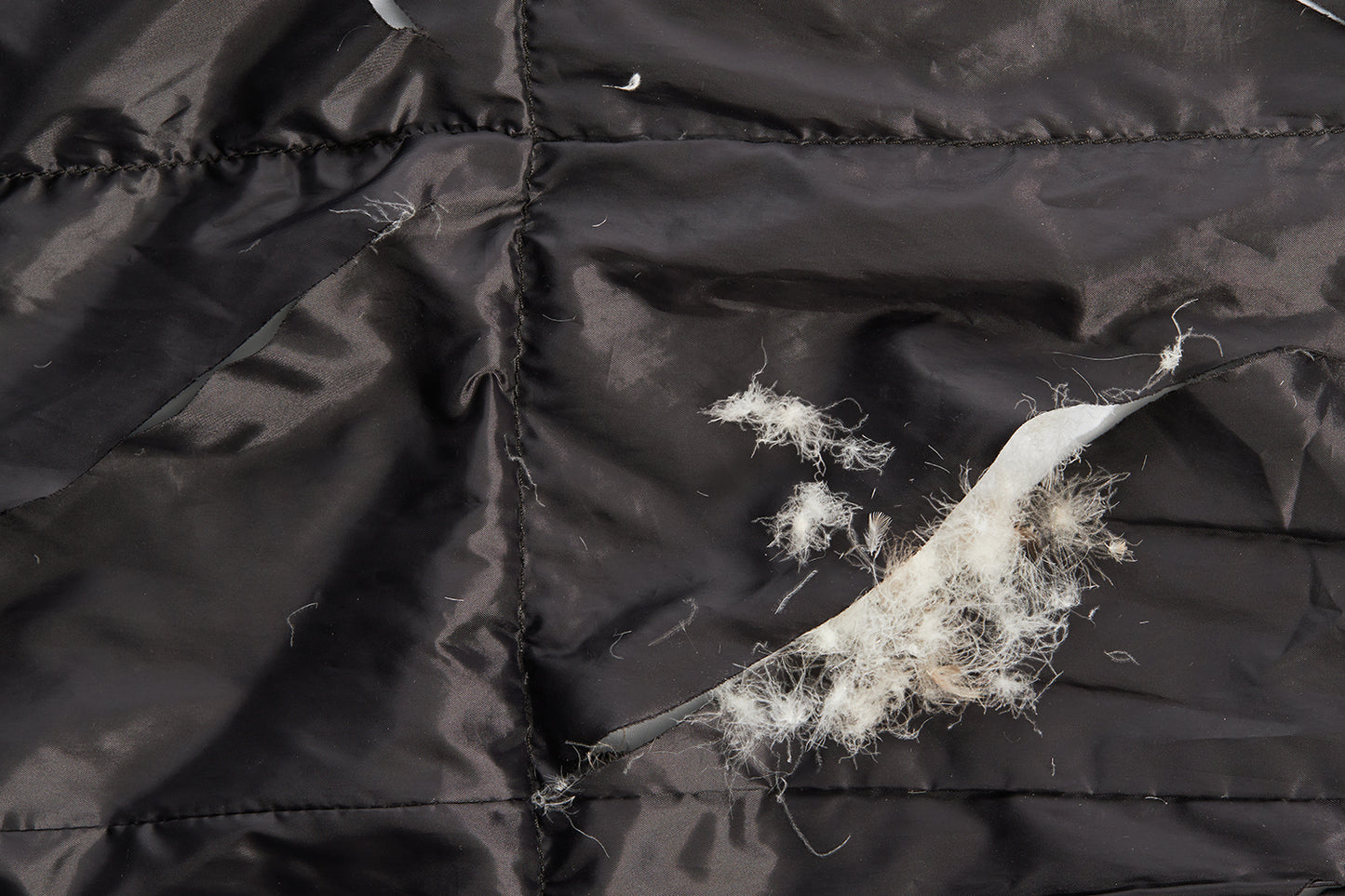 Recycled Goose Down